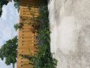 20180530_111950.jpg