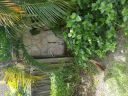 Filename=20180530_115554.jpg
Filesize=3096KiB
Dimensions=2880x2160
Date added=May 30, 2018 20180530_115554.jpg
