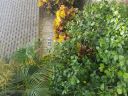 Filename=20180530_115558.jpg
Filesize=3207KiB
Dimensions=2880x2160
Date added=May 30, 2018 20180530_115558.jpg