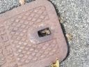 20180530_193711.jpg