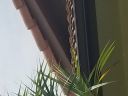 20180601_131106.jpg