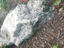 20180601_193719.jpg