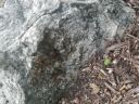 20180601_193721.jpg