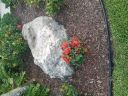 20180601_193736.jpg