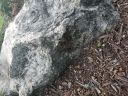 20180601_193755.jpg
