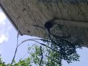 20180604_121946.jpg