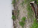 20180604_152248.jpg