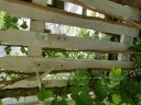 20180607_121608.jpg