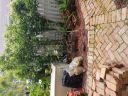 20180607_121832.jpg