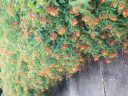 20180611_180601.jpg