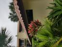 20180612_154658.jpg