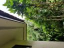 20180612_154945.jpg