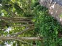 20180619_134059.jpg
