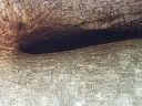 20180619_134206.jpg