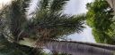 20180706_151421.jpg
