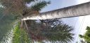 20180706_151733.jpg
