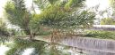20180706_151759.jpg