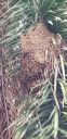 20180712_081635~0.jpg
