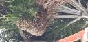 20180712_091921.jpg