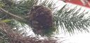 20180712_091936.jpg