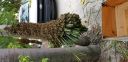 Filename=20180712_105835.jpg
Filesize=3701KiB
Dimensions=4032x1960
Date added=Jul 12, 2018 20180712_105835.jpg