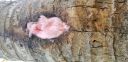 Filename=20180723_184339.jpg
Filesize=3447KiB
Dimensions=4032x1960
Date added=Aug 18, 2018 20180723_184339.jpg