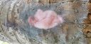 Filename=20180723_184744.jpg
Filesize=3903KiB
Dimensions=4032x1960
Date added=Aug 18, 2018 20180723_184744.jpg