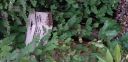 20180724_202053.jpg