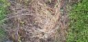 20180725_195907.jpg