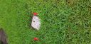 20180730_150335.jpg