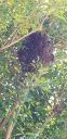 20180802_125651~0.jpg