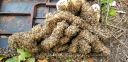 20180808_074529.jpg