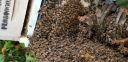 Filename=20180808_080713.jpg
Filesize=3356KiB
Dimensions=4032x1960
Date added=Aug 08, 2018 20180808_080713.jpg