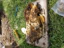 20180808_151428.jpg