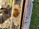 20180808_151616.jpg