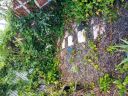20180809_182948.jpg