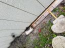 20180814_152227.jpg