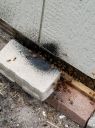 20180814_152235~0.jpg