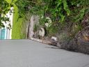 20180814_152454.jpg