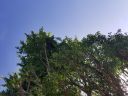 20180815_085509.jpg