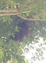 Filename=20180815_085527~0.jpg
Filesize=1336KiB
Dimensions=2873x3831
Date added=Aug 15, 2018 20180815_085527~0.jpg