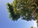 20180815_085650.jpg