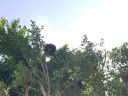 20180815_092957.jpg