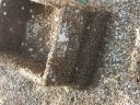 20180815_100321.jpg