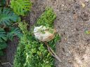 20180815_101740.jpg