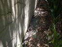 20180815_120258.jpg