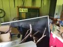 20180815_120410.jpg