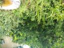 20180815_120548.jpg