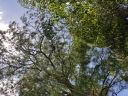 20180815_133835.jpg