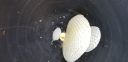 Filename=20180821_115443.jpg
Filesize=1673KiB
Dimensions=4032x1960
Date added=Aug 22, 2018 20180821_115443.jpg
